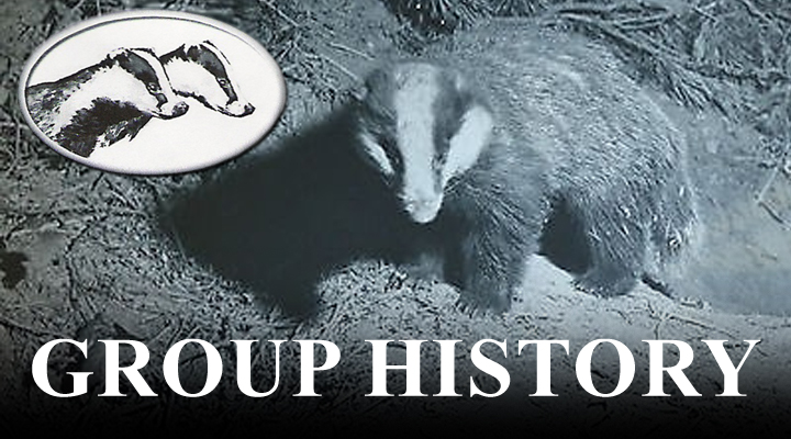 Badger Group History